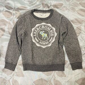 Abercrombie Kids Crewneck Sweatshirt — Gray Hawaii Graphic — Size 5/6